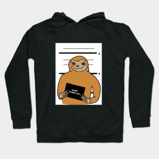 Sloth prisoner Hoodie